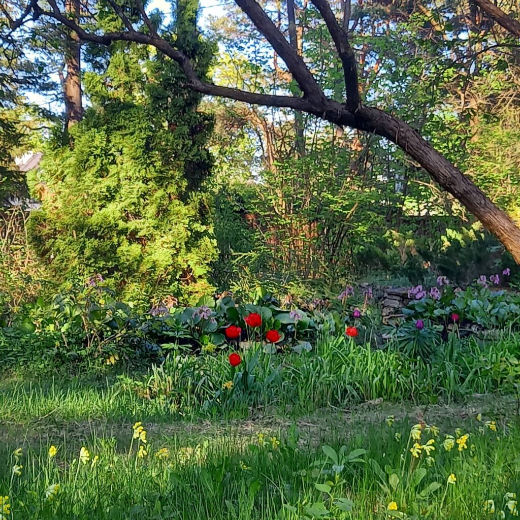 Foto: Veronika Kivisilla