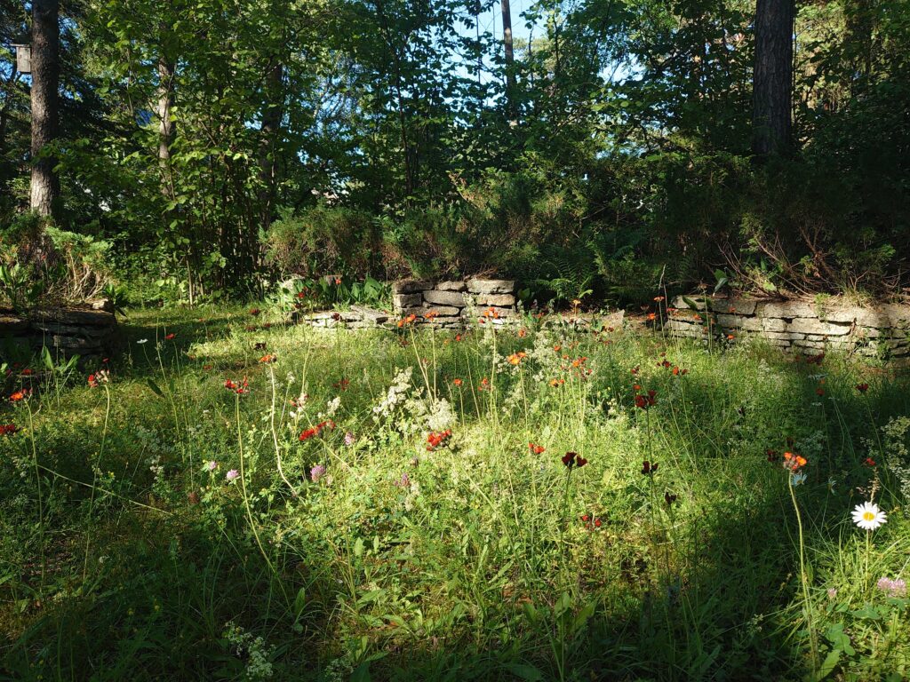 Foto: Elle-Mari Talivee